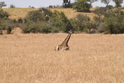 DSC_3531 (Large).JPG